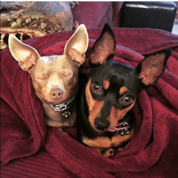 Meet your Posher, Rita Marie - Picture 5 of 10